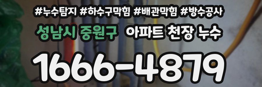 성남시 중원구 아파트 천장 누수