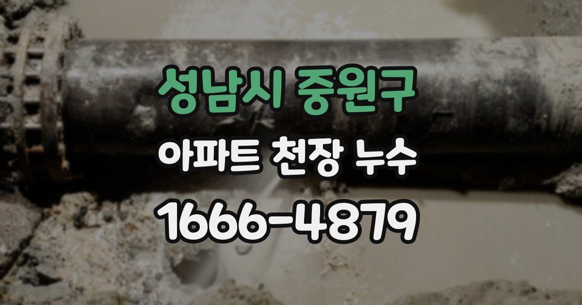 성남시 중원구 아파트 천장 누수