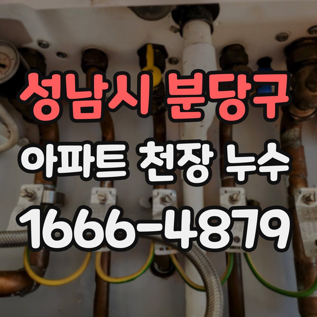 성남시 분당구 아파트 천장 누수