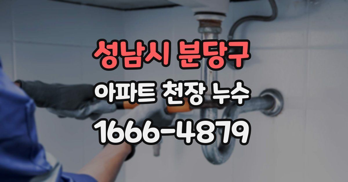 성남시 분당구 아파트 천장 누수