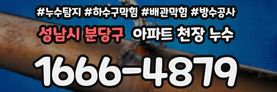 성남시 분당구 아파트 천장 누수