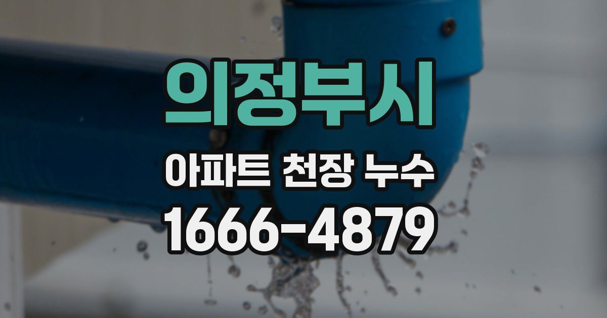 의정부시 아파트 천장 누수