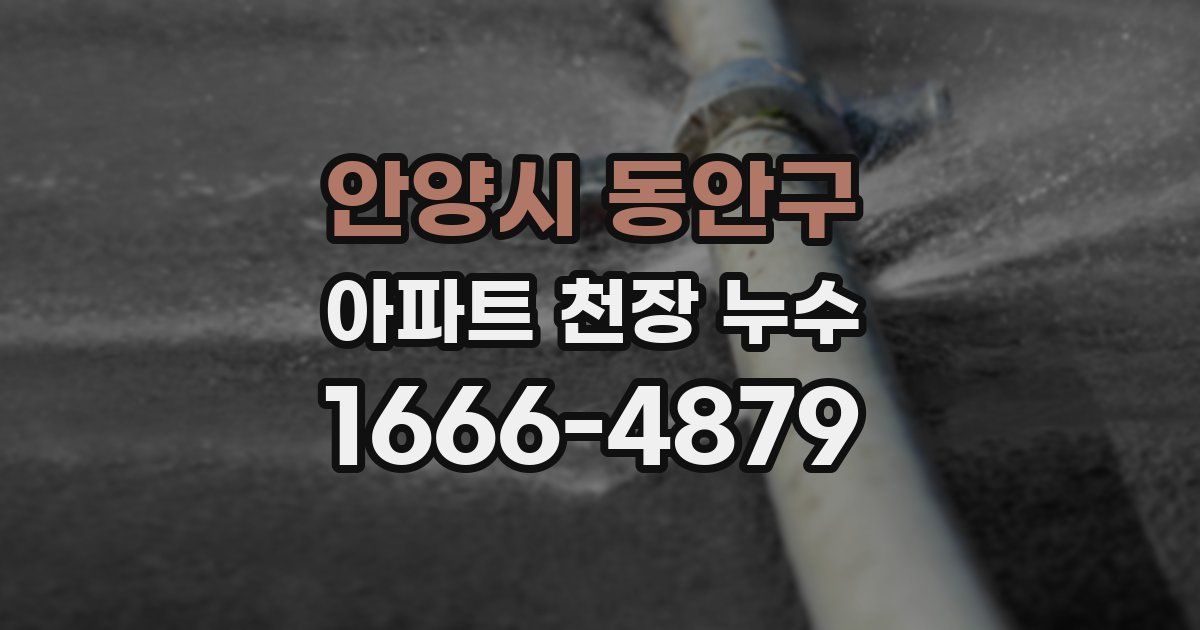 안양시 동안구 아파트 천장 누수