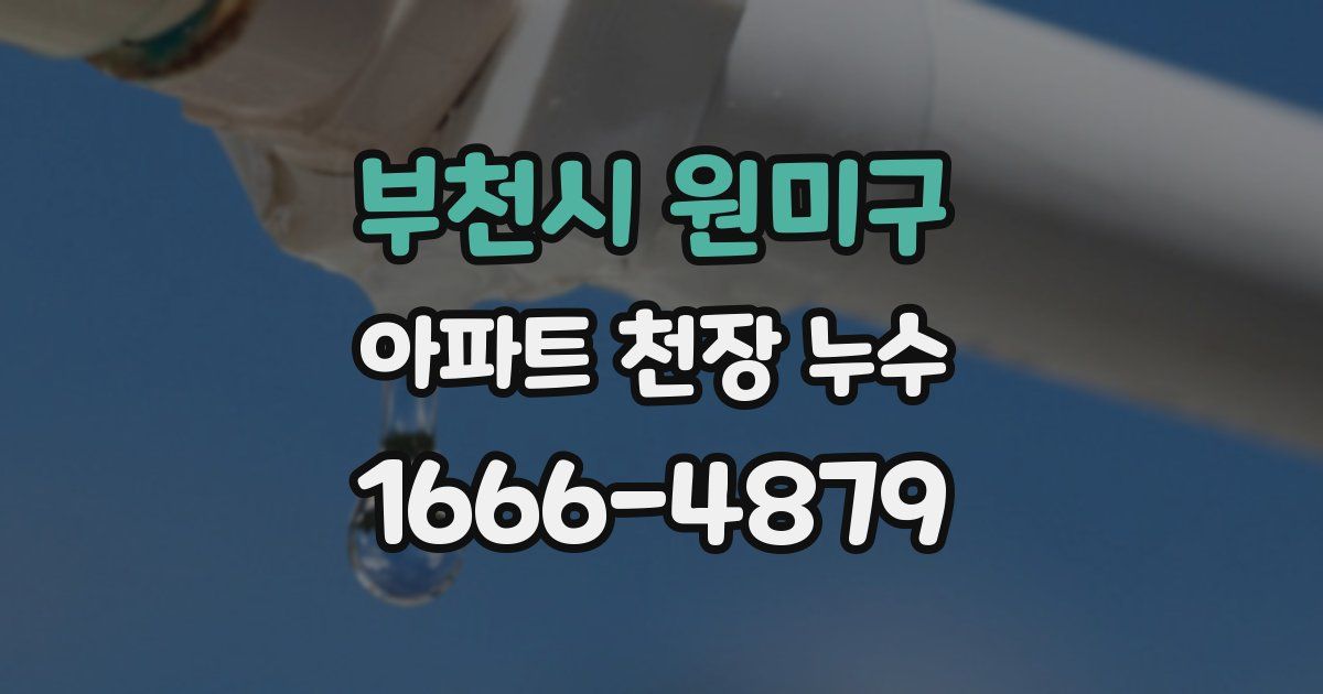 부천시 원미구 아파트 천장 누수