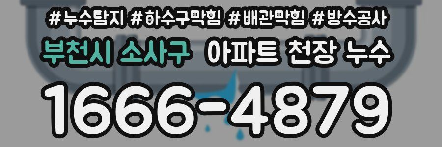 부천시 소사구 아파트 천장 누수