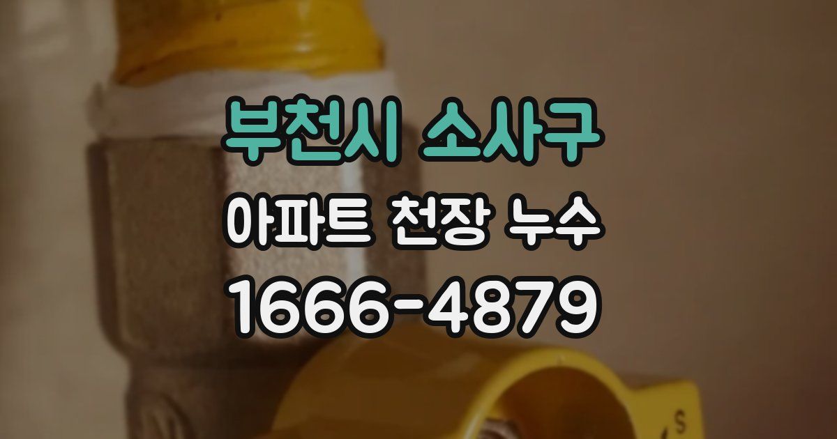 부천시 소사구 아파트 천장 누수