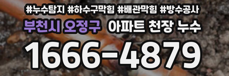 부천시 오정구 아파트 천장 누수