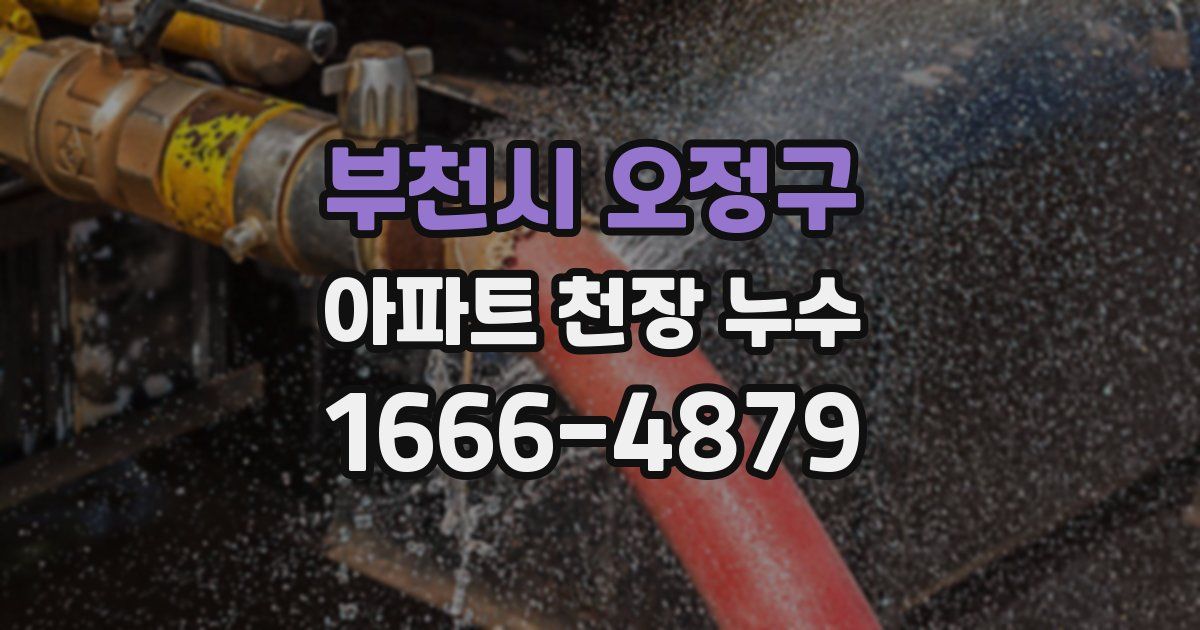 부천시 오정구 아파트 천장 누수