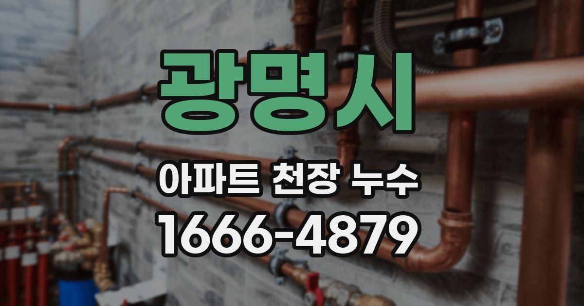 광명시 아파트 천장 누수