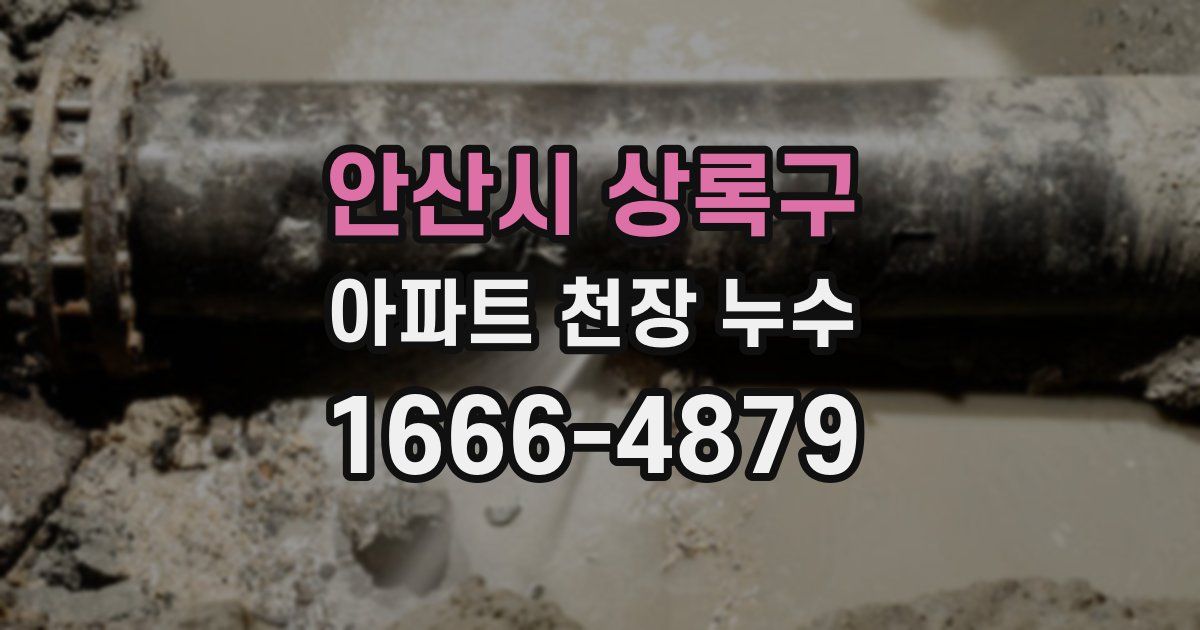 안산시 상록구 아파트 천장 누수