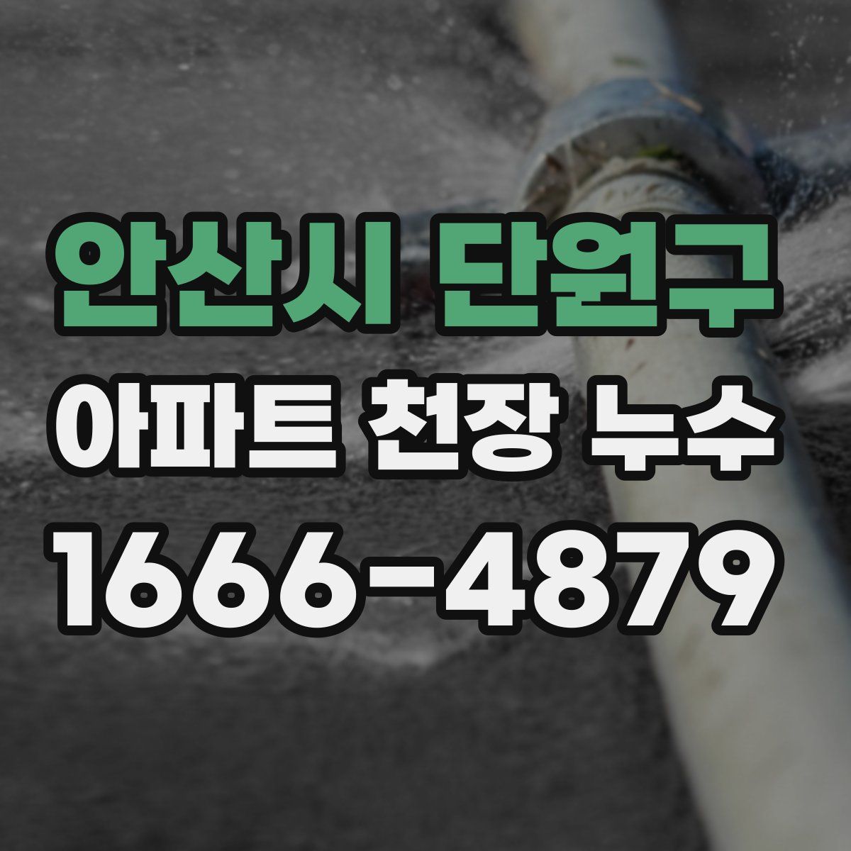 안산시 단원구 아파트 천장 누수