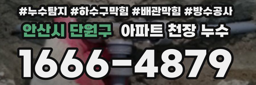 안산시 단원구 아파트 천장 누수
