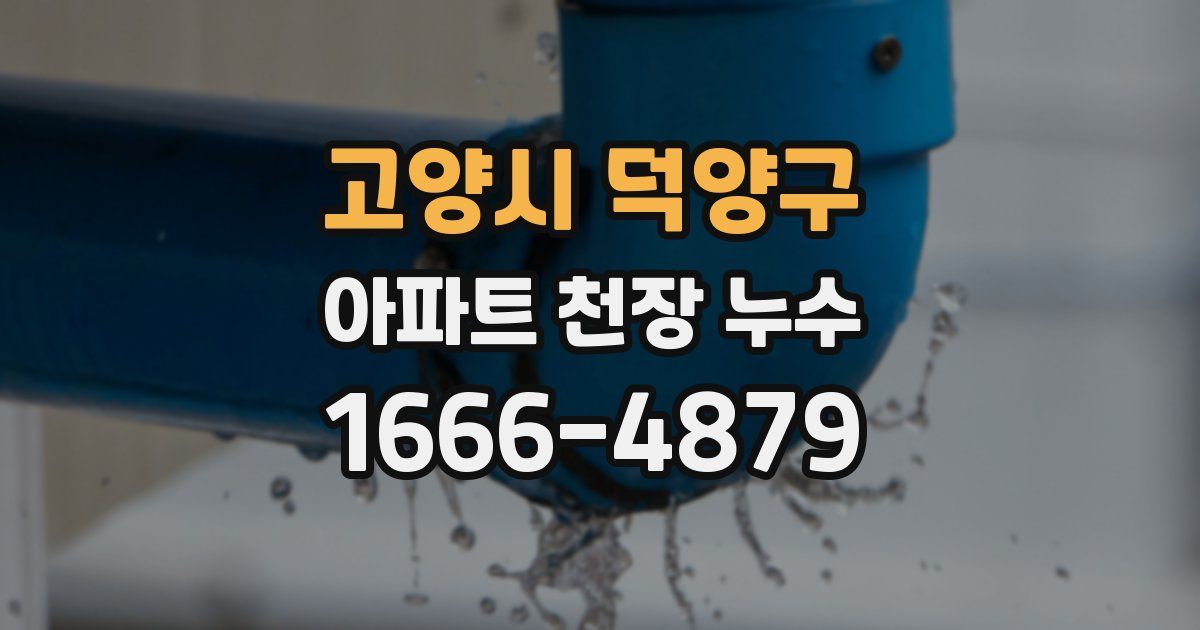 고양시 덕양구 아파트 천장 누수