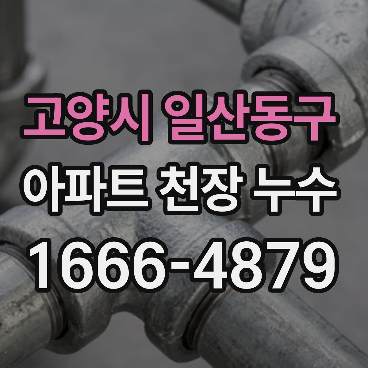 고양시 일산동구 아파트 천장 누수