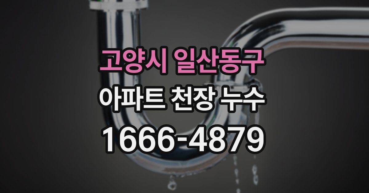 고양시 일산동구 아파트 천장 누수