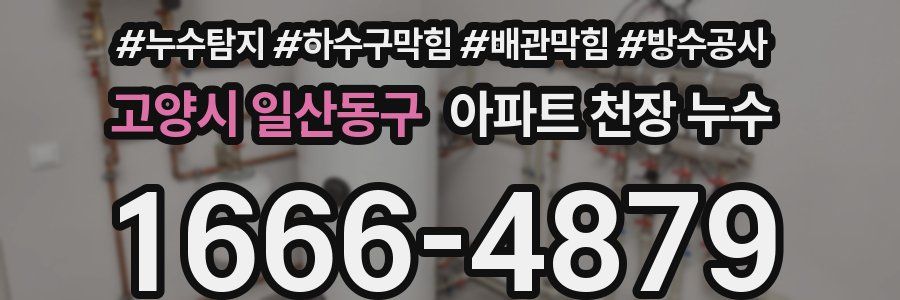 고양시 일산동구 아파트 천장 누수