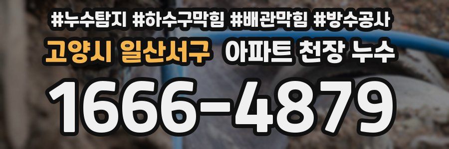 고양시 일산서구 아파트 천장 누수