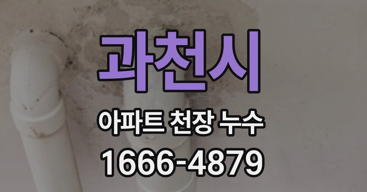과천시 아파트 천장 누수