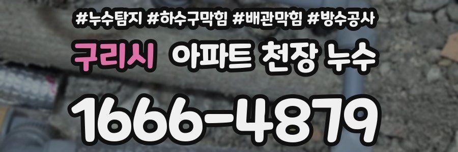 구리시 아파트 천장 누수