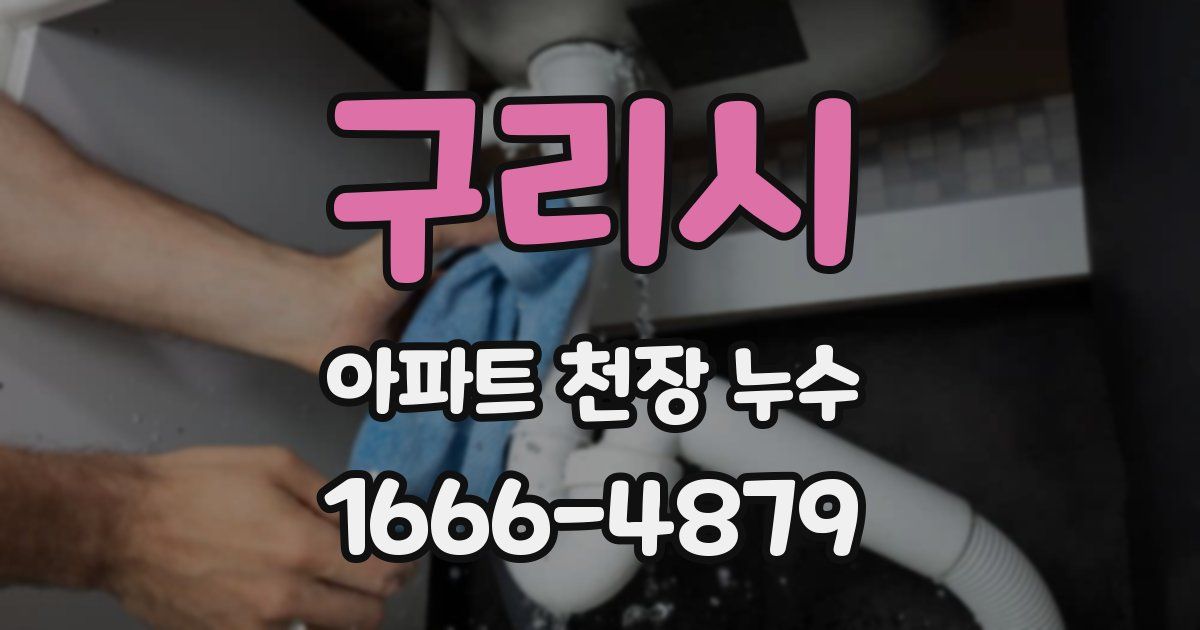 구리시 아파트 천장 누수