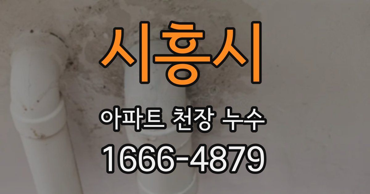 시흥시 아파트 천장 누수