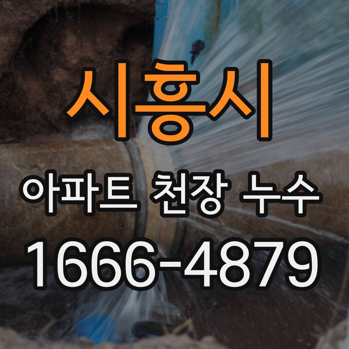 시흥시 아파트 천장 누수