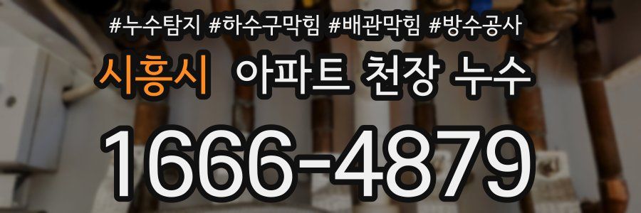 시흥시 아파트 천장 누수