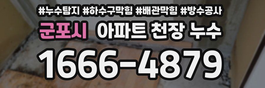 군포시 아파트 천장 누수