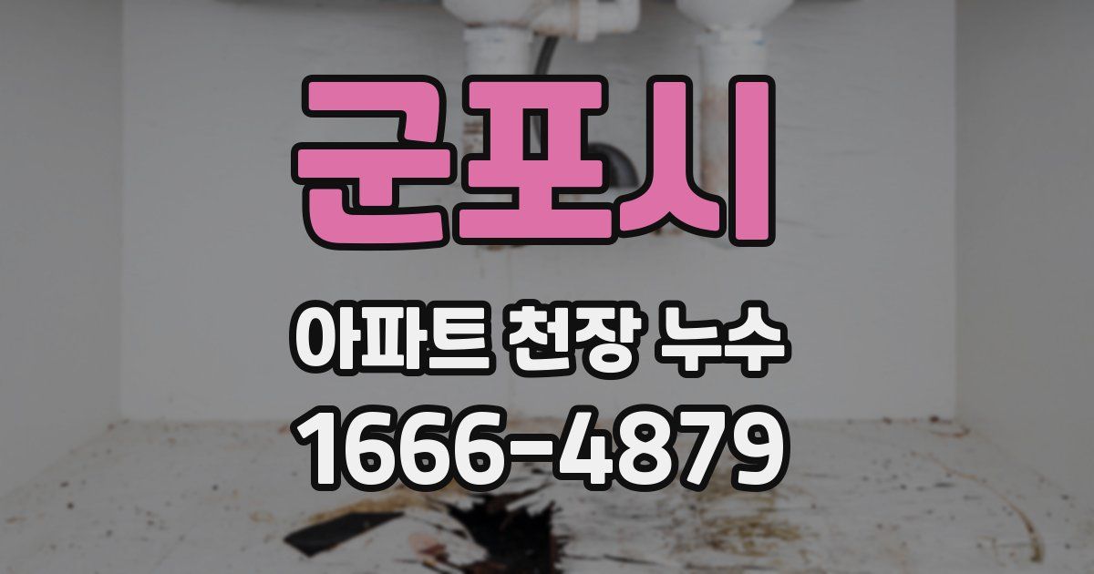 군포시 아파트 천장 누수