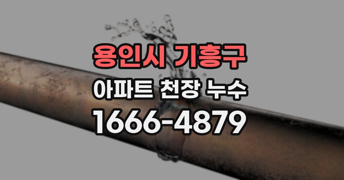 용인시 기흥구 아파트 천장 누수