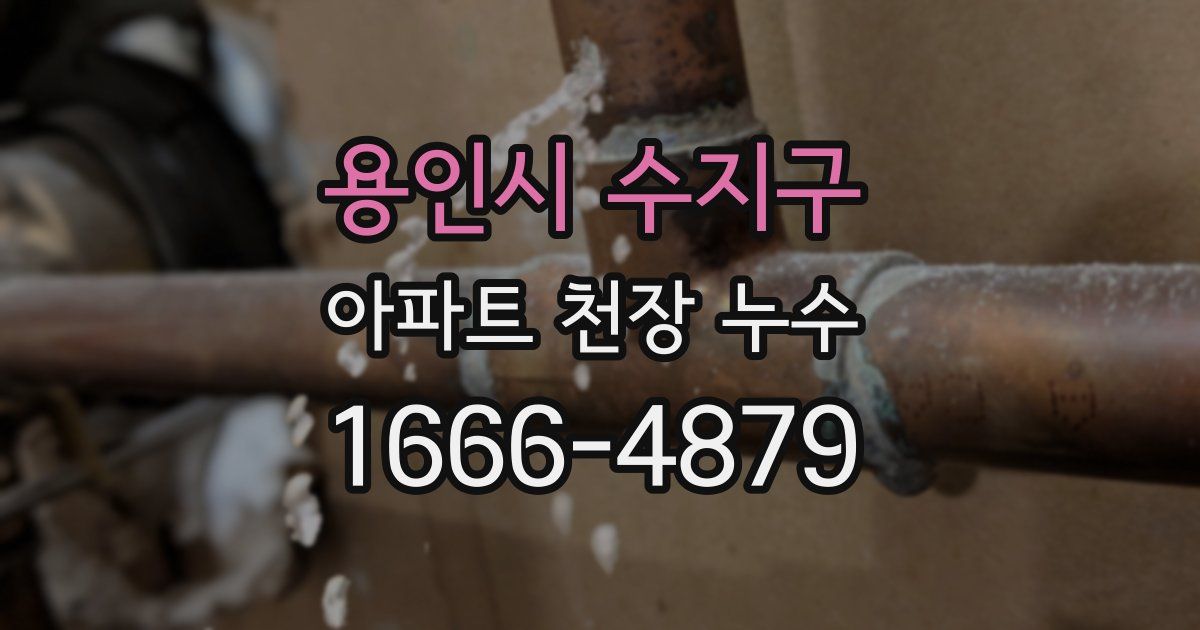 용인시 수지구 아파트 천장 누수