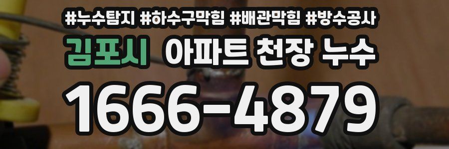 김포시 아파트 천장 누수
