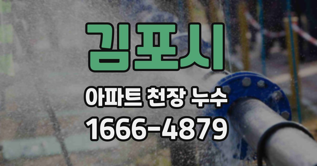 김포시 아파트 천장 누수