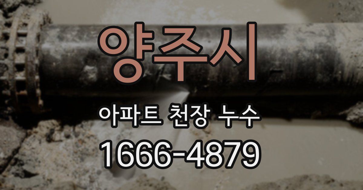 양주시 아파트 천장 누수