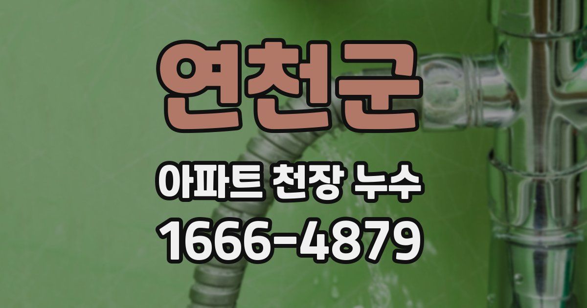 연천군 아파트 천장 누수