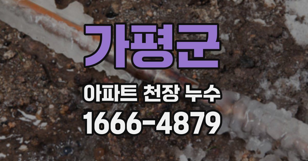 가평군 아파트 천장 누수