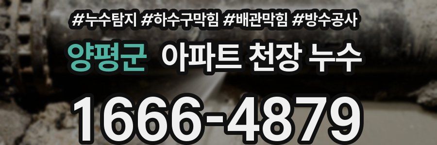양평군 아파트 천장 누수