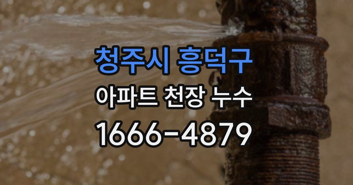 청주시 흥덕구 아파트 천장 누수