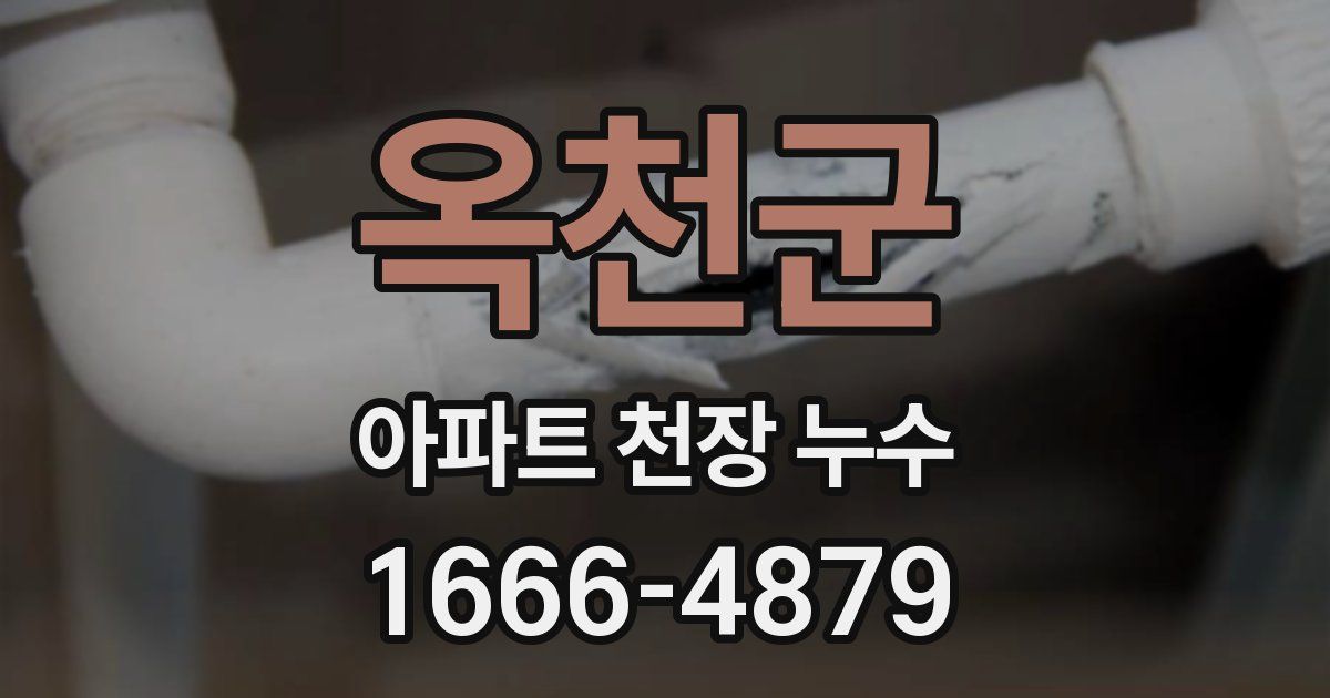 옥천군 아파트 천장 누수