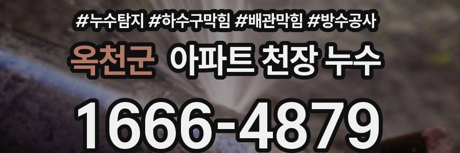 옥천군 아파트 천장 누수