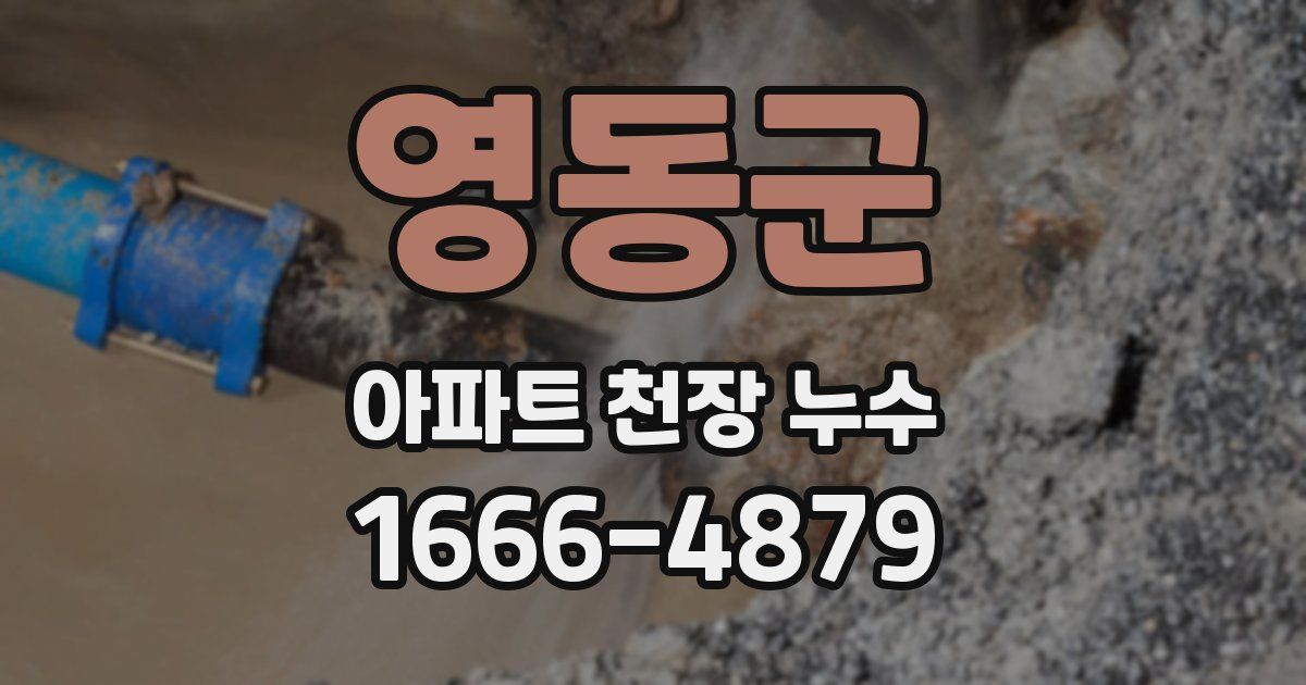 영동군 아파트 천장 누수