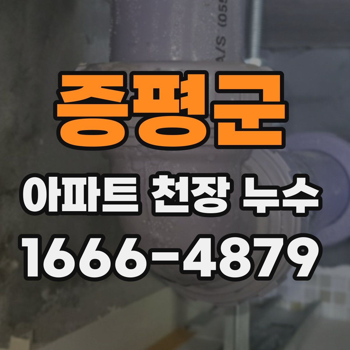 증평군 아파트 천장 누수