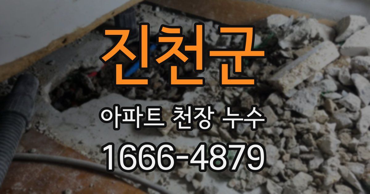 진천군 아파트 천장 누수