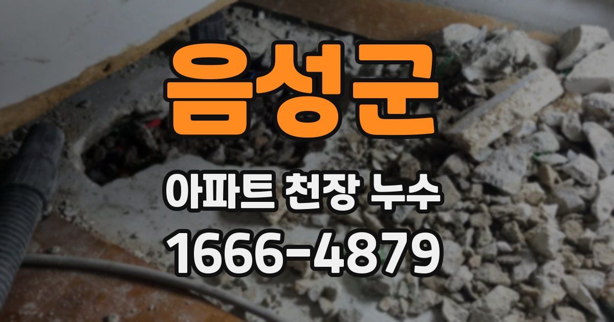 음성군 아파트 천장 누수