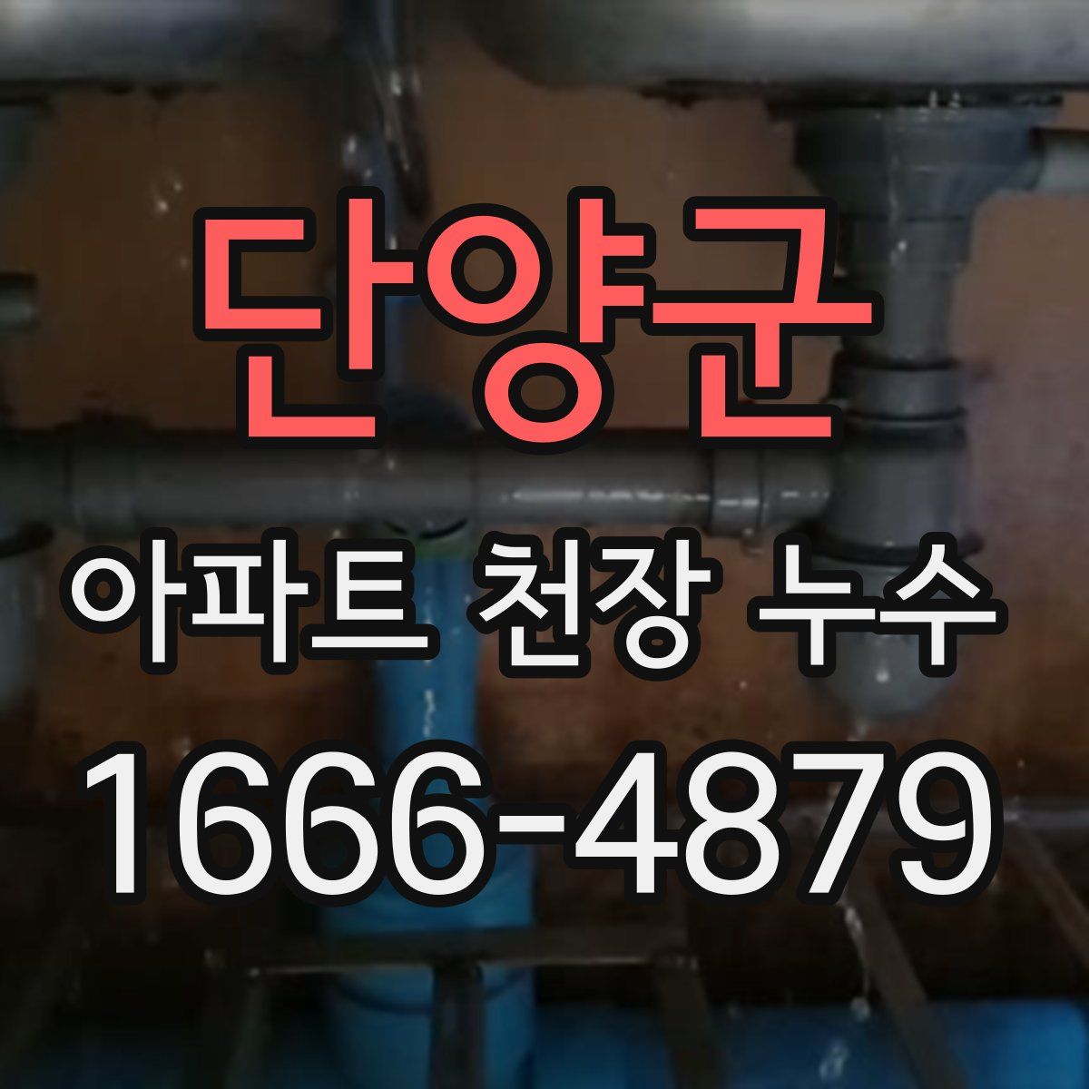 단양군 아파트 천장 누수
