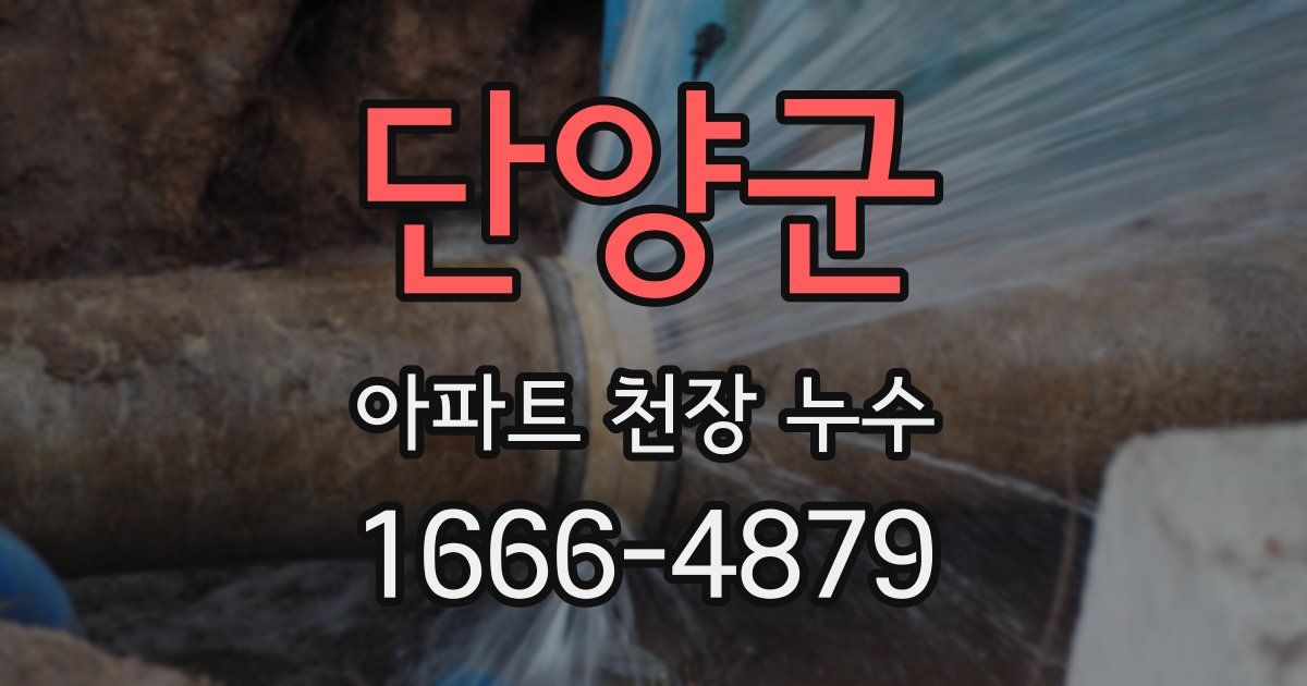 단양군 아파트 천장 누수