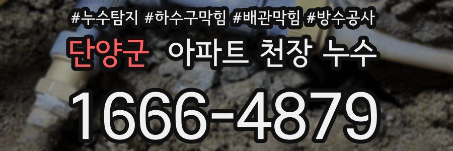 단양군 아파트 천장 누수