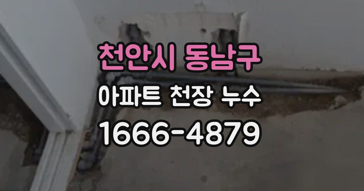 천안시 동남구 아파트 천장 누수