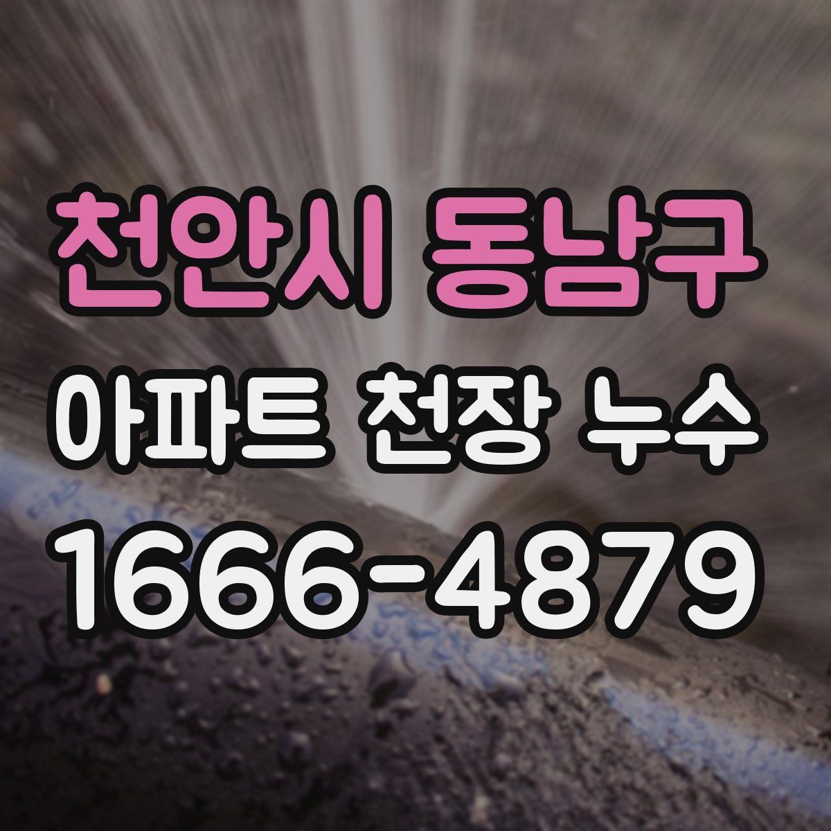 천안시 동남구 아파트 천장 누수