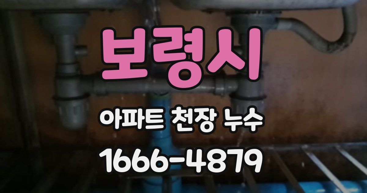 보령시 아파트 천장 누수